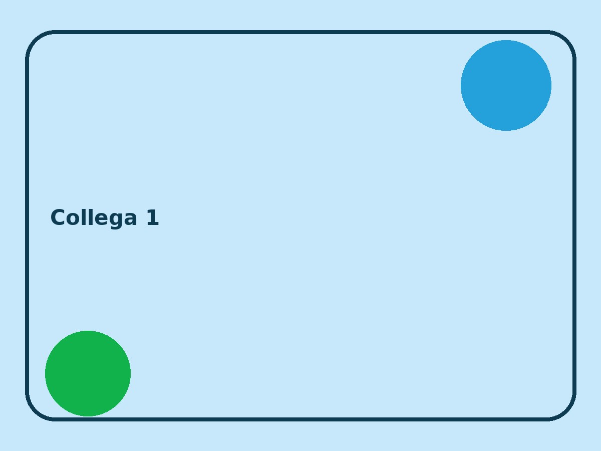 Collega 1