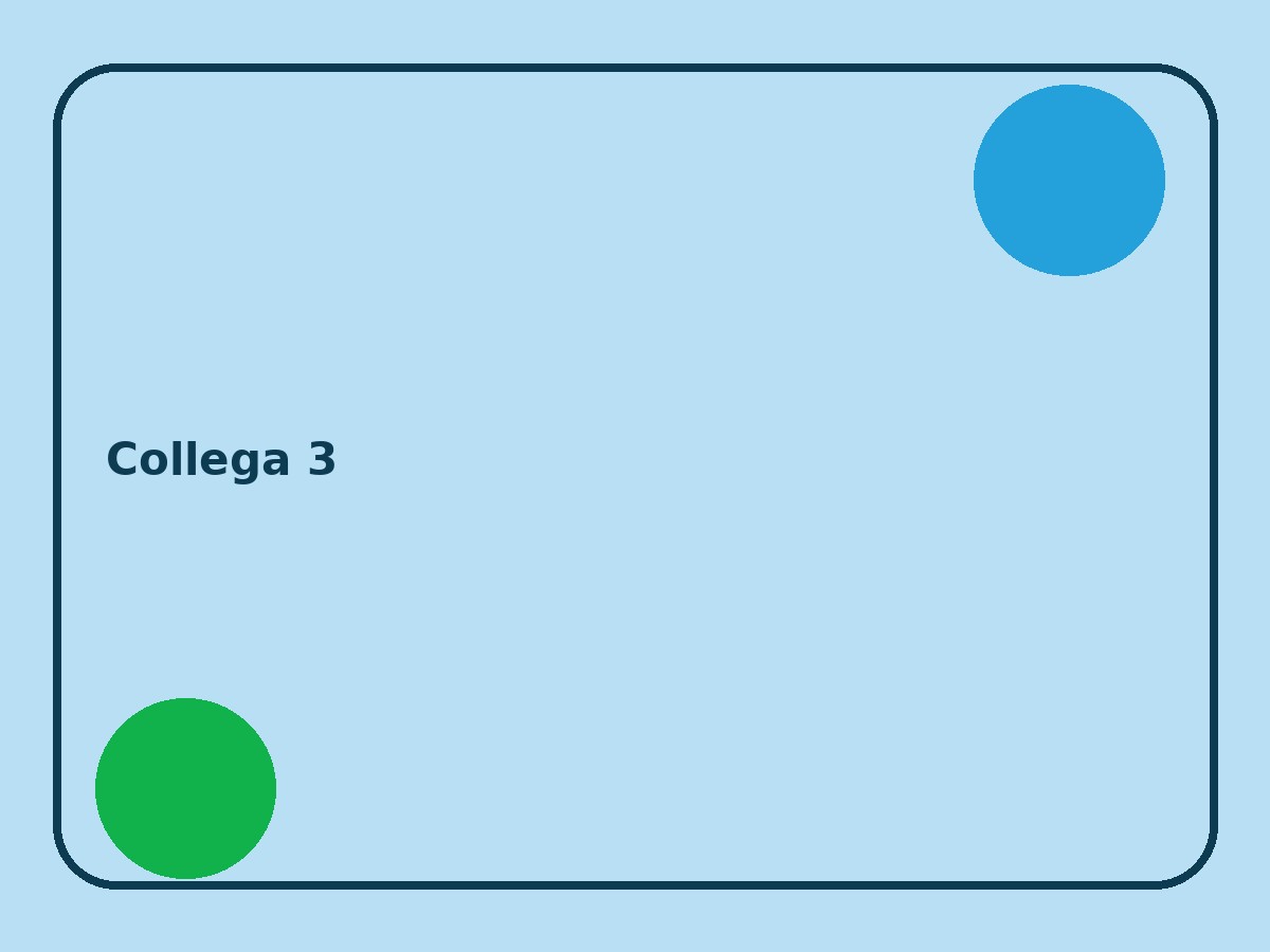 Collega 3